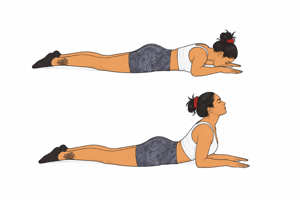 Half cobra exercise showing a gentle chest lift from lying face down, a controlled extension for L4/L5 disc pain